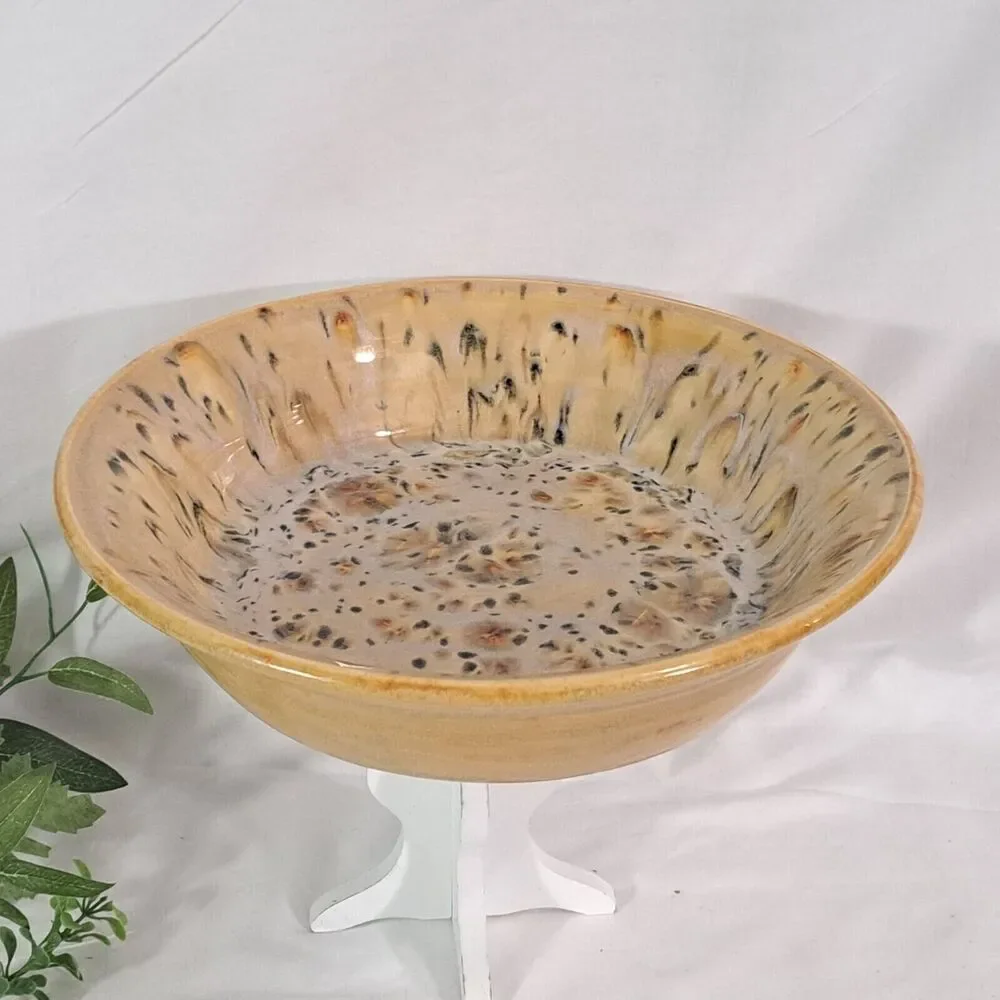 Scarlet Campbell Stoneware Pie Pan Serving Dish 10 1/4